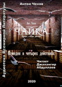 Чайка - Обложка
