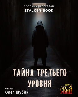 Тайна третьего уровня - Обложка