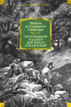 Хитроумный идальго Дон Кихот Ламанчский - Обложка