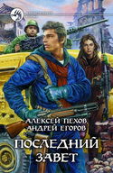 Последний завет - Обложка