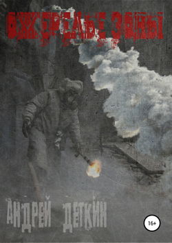 S.T.A.L.K.E.R. Ожерелье Зоны - Обложка