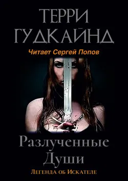 Разлучённые души - Обложка