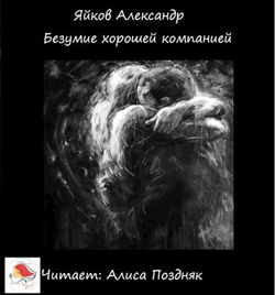 Безумие хорошей компанией - Обложка