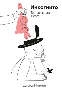 Инкогнито. Тайная жизнь мозга - Обложка