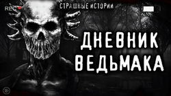 Дневник Ведьмака - Обложка
