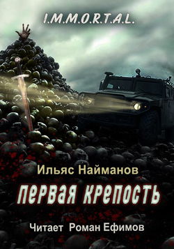 Первая крепость - Обложка
