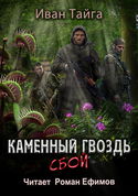 Каменный гвоздь. Сбой - Обложка