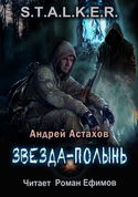 S.T.A.L.K.E.R. Звезда-Полынь - Обложка