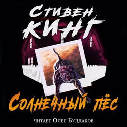 Солнечный пёс - Обложка