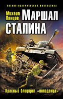 Маршал Сталина. Красный блицкриг «попаданца» - Обложка