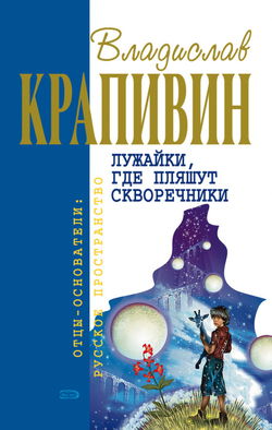 Лужайки, где пляшут скворечники - Обложка