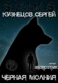 S-T-I-K-S. Чёрная Молния - Обложка