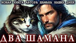 Два шамана - Обложка