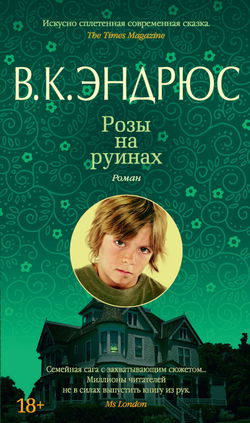 Розы на руинах - Обложка