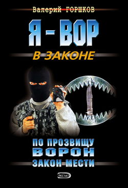 По прозвищу Ворон. Закон мести - Обложка