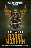 Полёт «Молнии» - Обложка