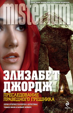 Преследование праведного грешника - Обложка