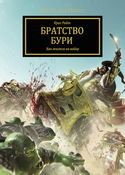 Братство Бури - Обложка