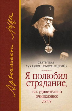 Я полюбил страдание, так удивительно очищающее душу - Обложка